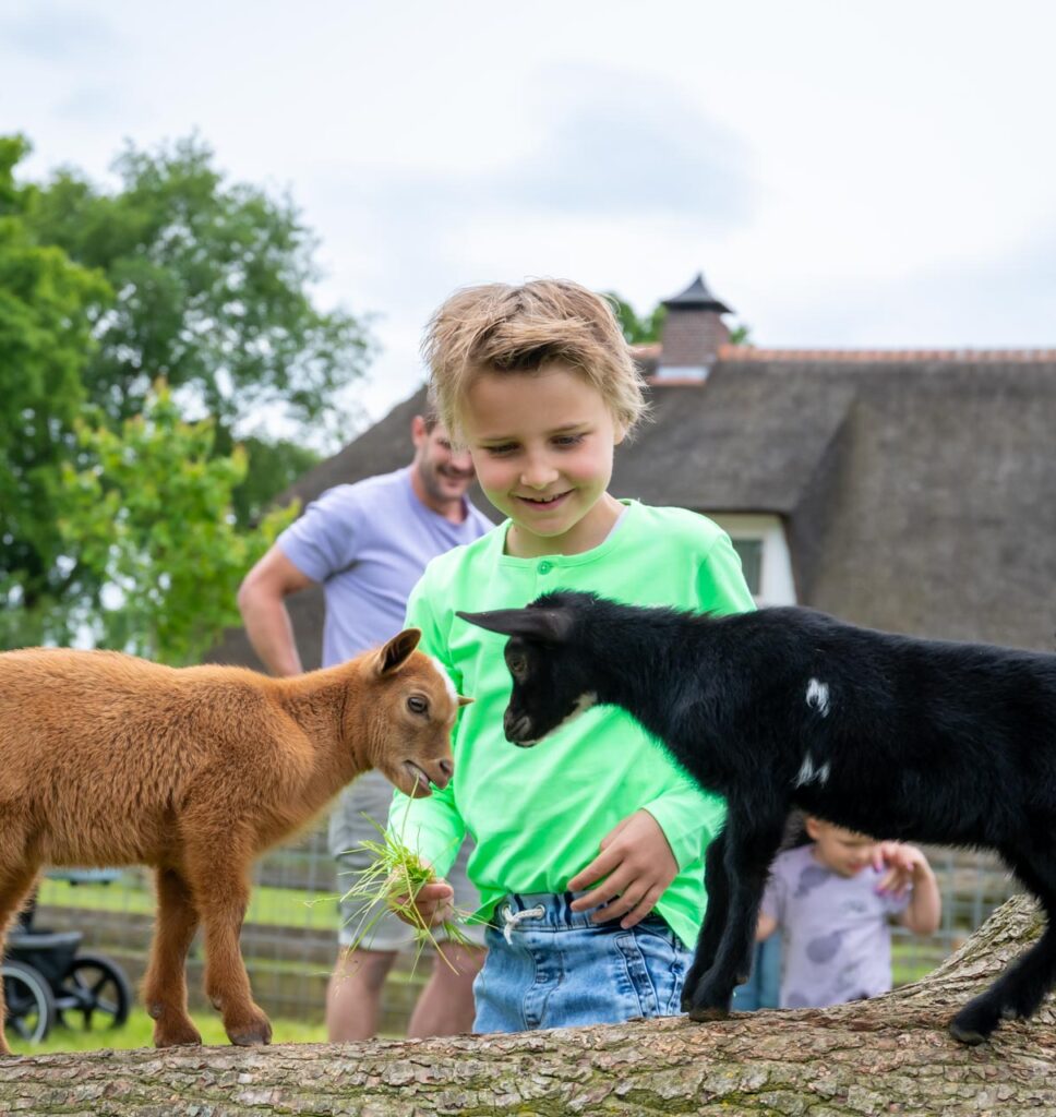 Op de kinderboerderij bij de Flierefluiter vind je allemaal bijzondere dieren: van het grootste konijnenras tot het kleinste koeienras.