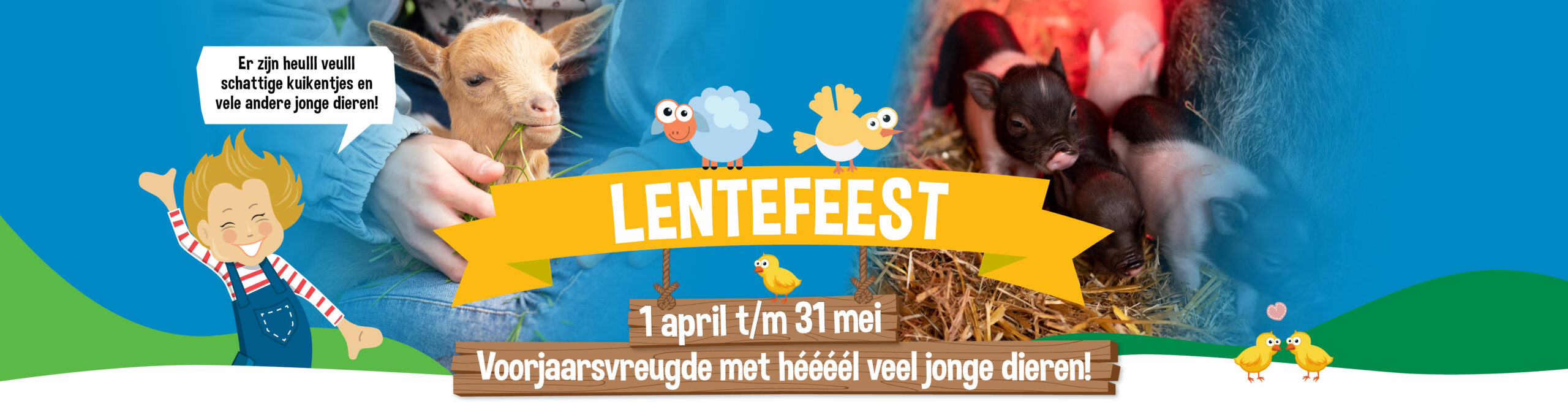 Lentefeest in april en mei bij de Flierefluiter: voorjaarsvreugde met héééél veel jonge dieren!