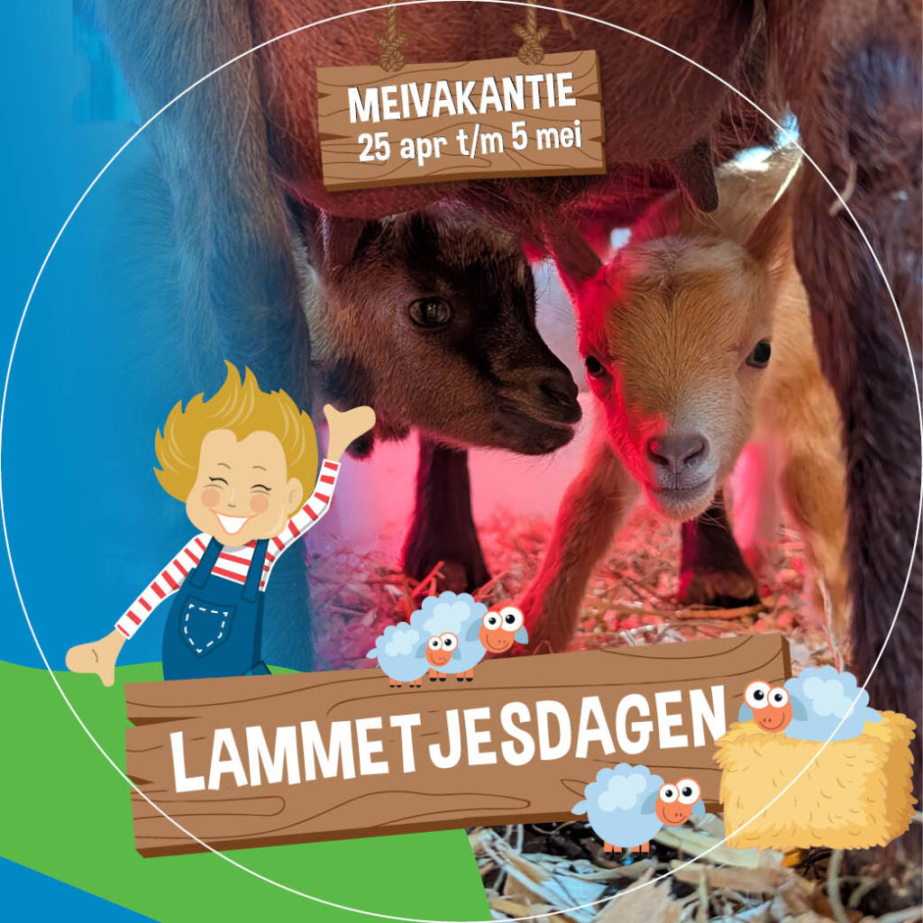 Lammetjesdagen bij Speelpark de Flierefluiter, het leukste uitje tijdens de meivakantie voor het hele gezin